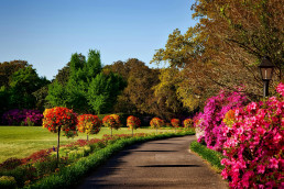 CFO Services for Landscaping Company