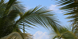 Palm Beach FL Outsourced CFO