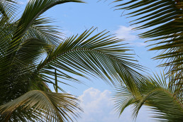 Palm Beach FL Outsourced CFO