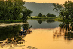 Wisconsin CFO Services