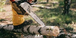 Fractional CFO Services for Tree Service Companies